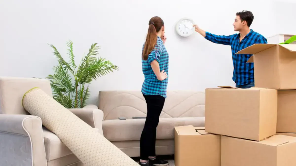 Best Rotterdam Movers Near Me Premium Moving Companies