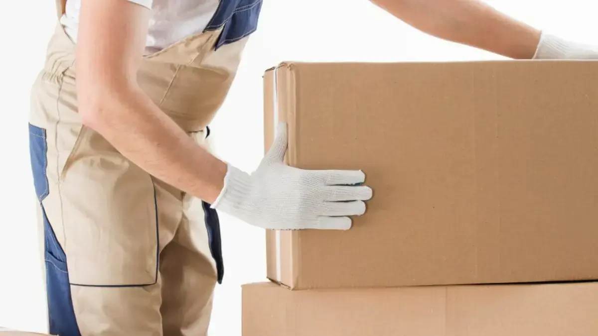 Best Routt County Movers Near Me – Premium Routt County, CO Moving Companies