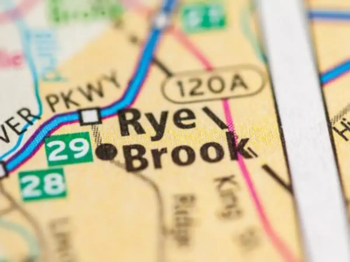 Best Rye Brook Movers Near Me – Premium Rye Brook, NY Moving Companies