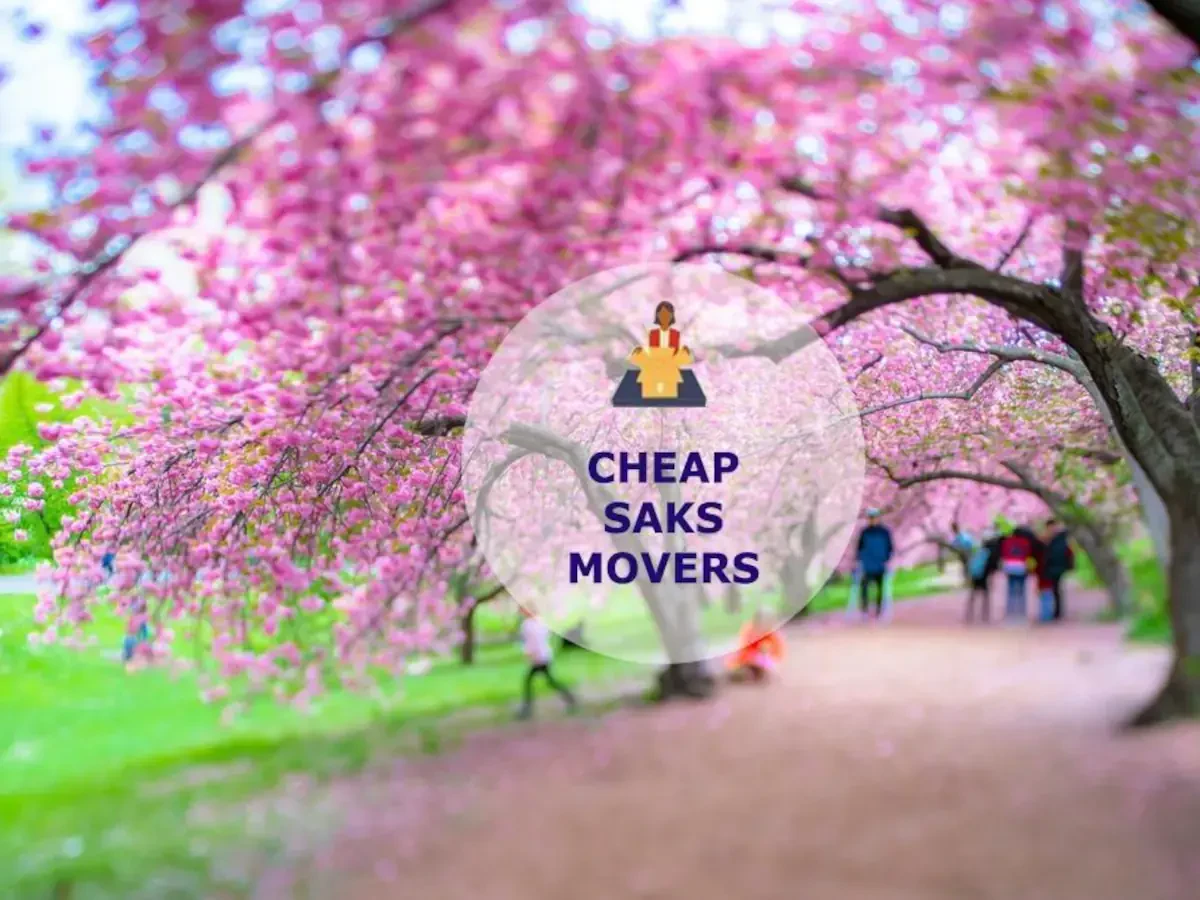 Best Saks Movers Near Me – Premium Saks, AL Moving Companies