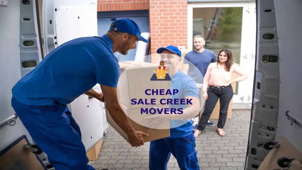 Best Sale Creek Movers Near Me – Premium Sale Creek, TN Moving Companies
