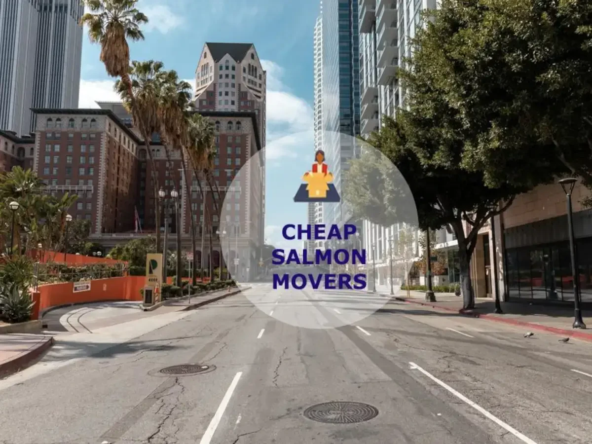 Best Salmon Movers Near Me – Premium Salmon, ID Moving Companies