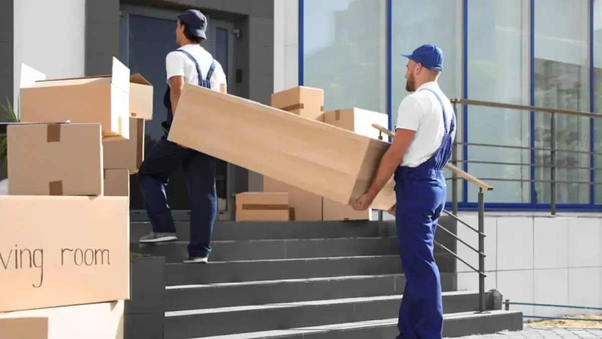 Best San Miguel County Movers Near Me – Premium San Miguel County, CO Moving Companies