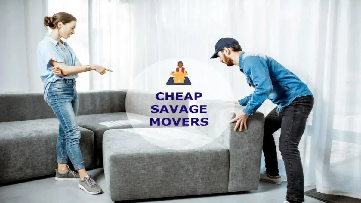 Best Savage Movers Near Me With Premium Moving Companies