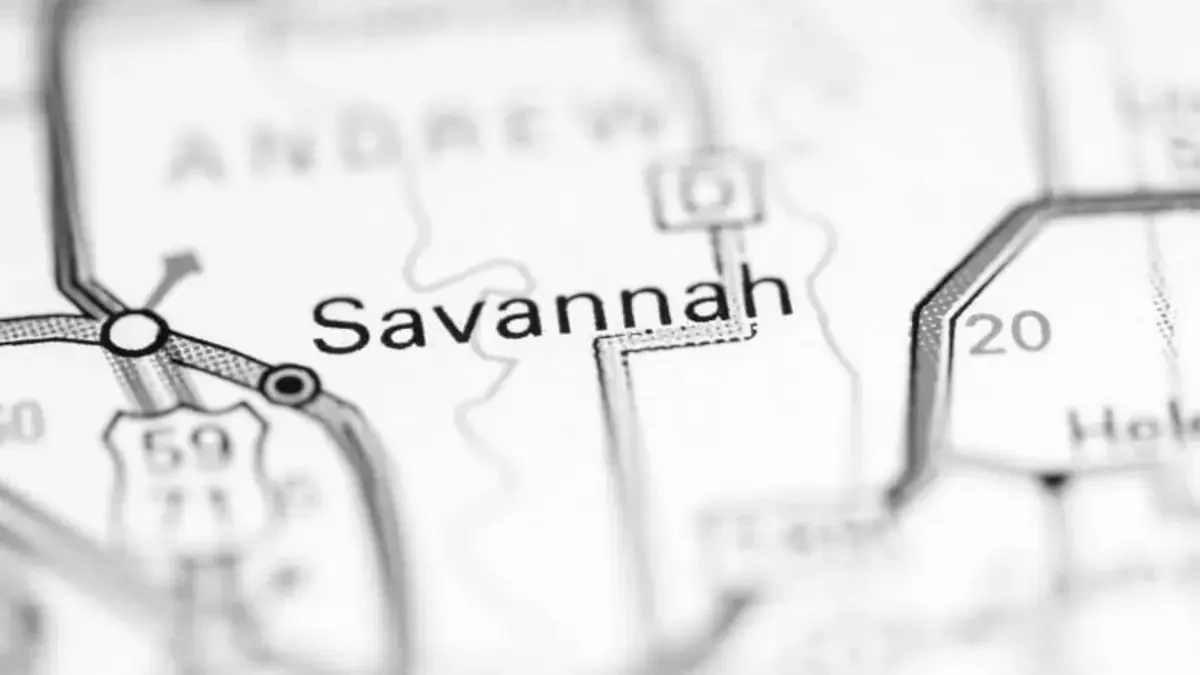 Best Savannah Movers Near Me – Premium Savannah, MO Moving Companies