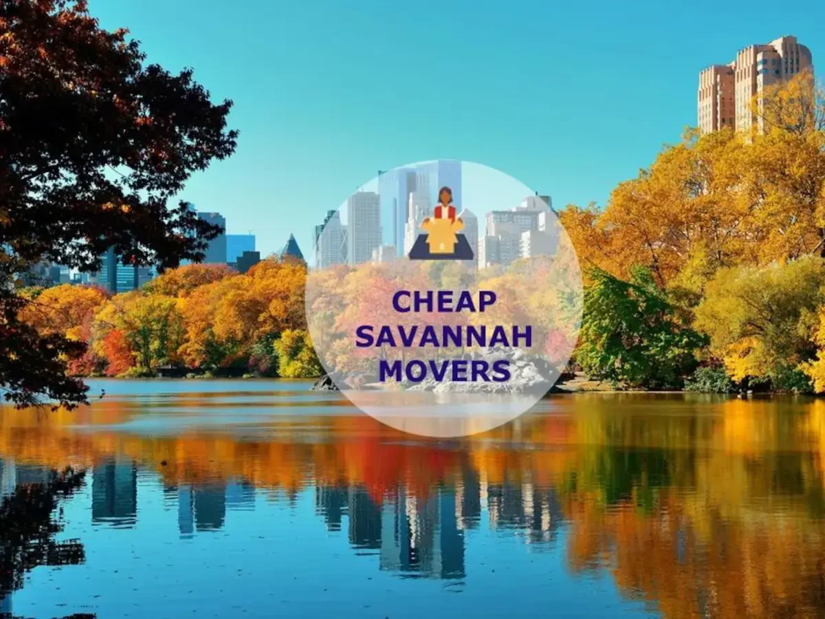 Best Savannah Movers Near Me Premium Moving Companies