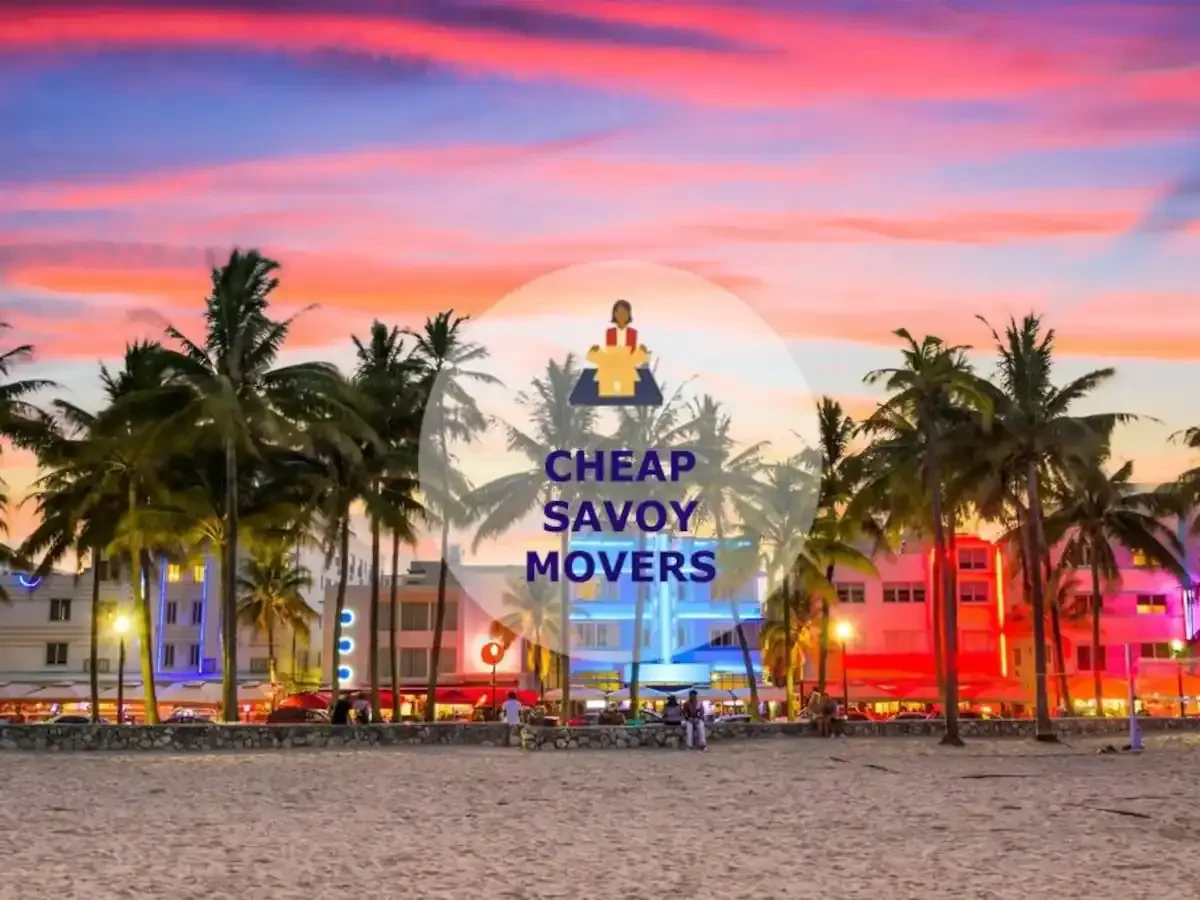 Best Savoy Movers Near Me – Premium Savoy, IL Moving Companies