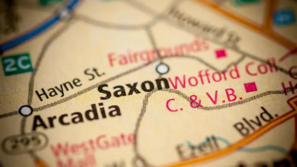 Best Saxon Movers Near Me Premium Moving Companies