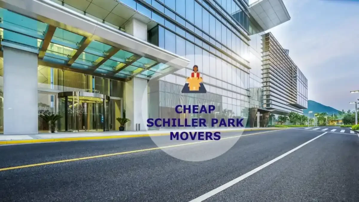 Best Schiller Park Movers Near Me – Premium Schiller Park, IL Moving Companies