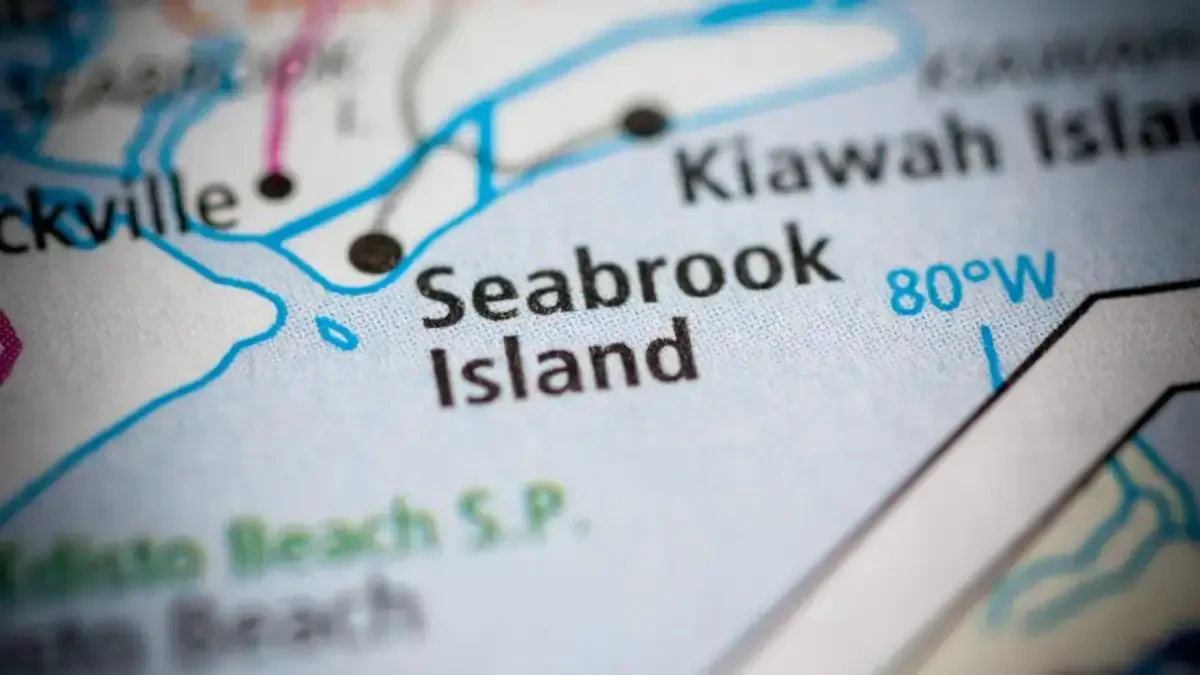 Best Seabrook Island Movers Near Me – Premium Seabrook Island, SC Moving Companies