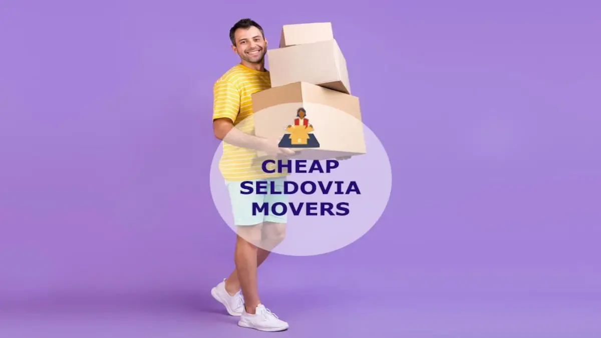 Best Seldovia Movers Near Me – Premium Seldovia, AK Moving Companies