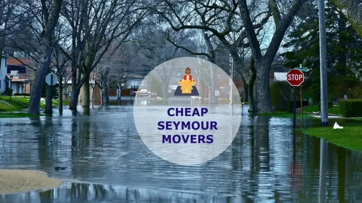 Best Seymour Movers Near Me – Premium Seymour, TN Moving Companies