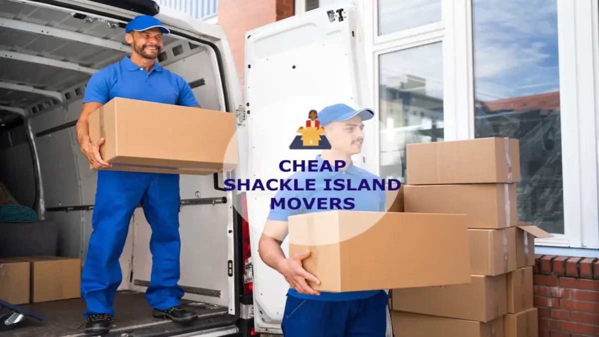 Best Shackle Island Movers Near Me – Premium Shackle Island, TN Moving Companies