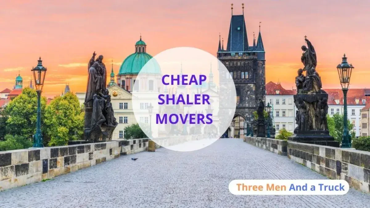 Best Shaler Movers Near Me – Premium Shaler, PA Moving Companies