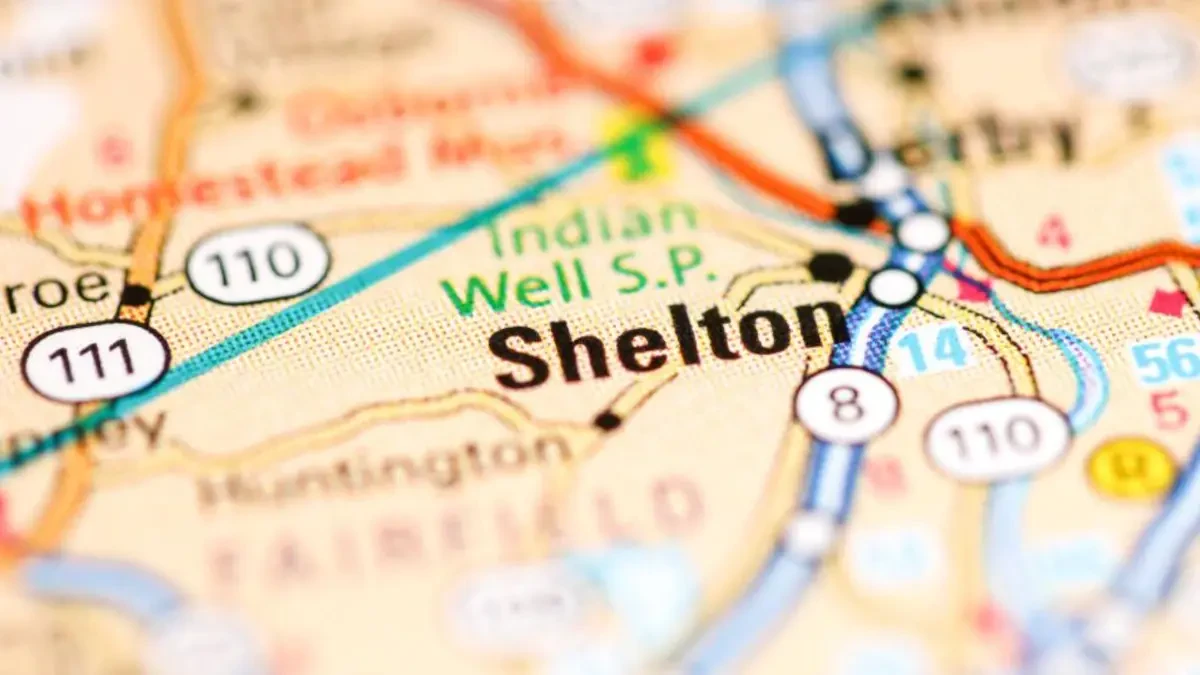 Top Long Distance Movers in Shelton: Affordable Options