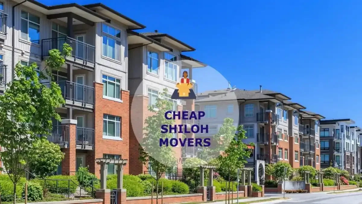 Best Shiloh Movers Near Me – Premium Moving Companies