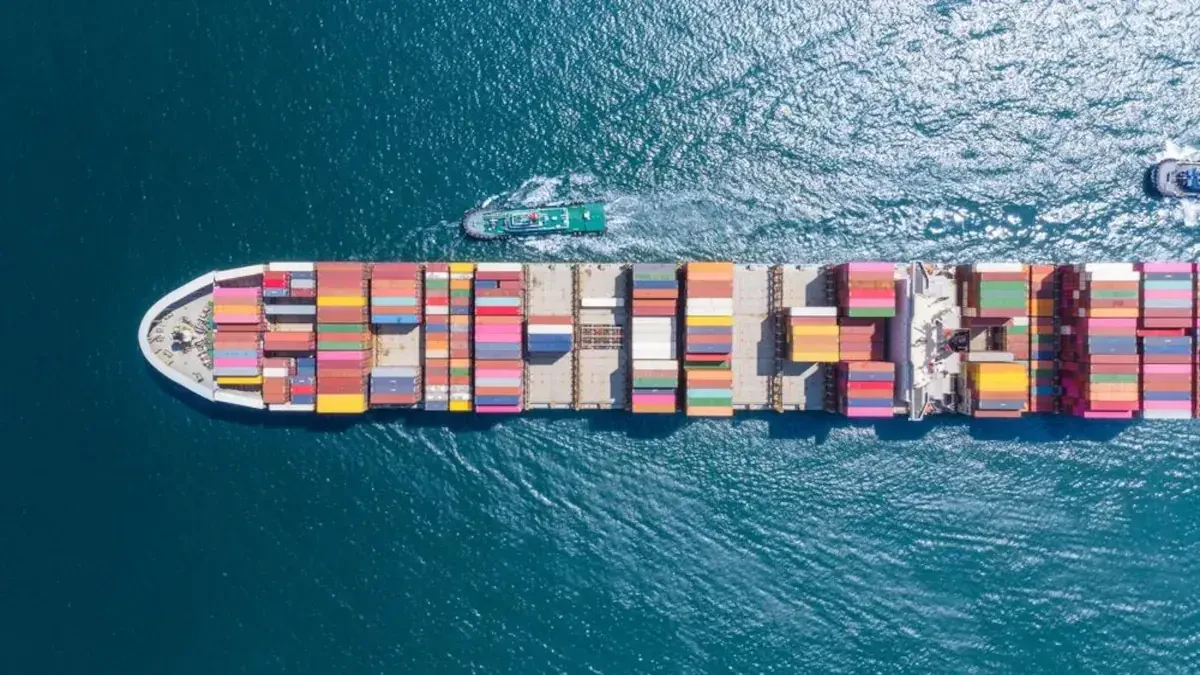 Cost Of Shipping A Container To Dominica