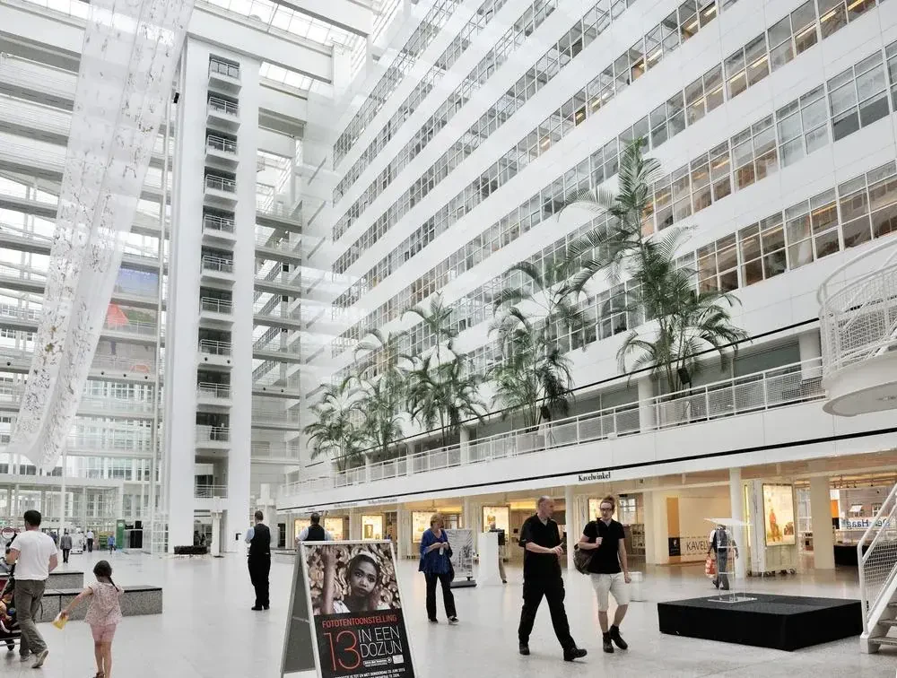 Local municipality administration in Hague, removal costs and rental contract