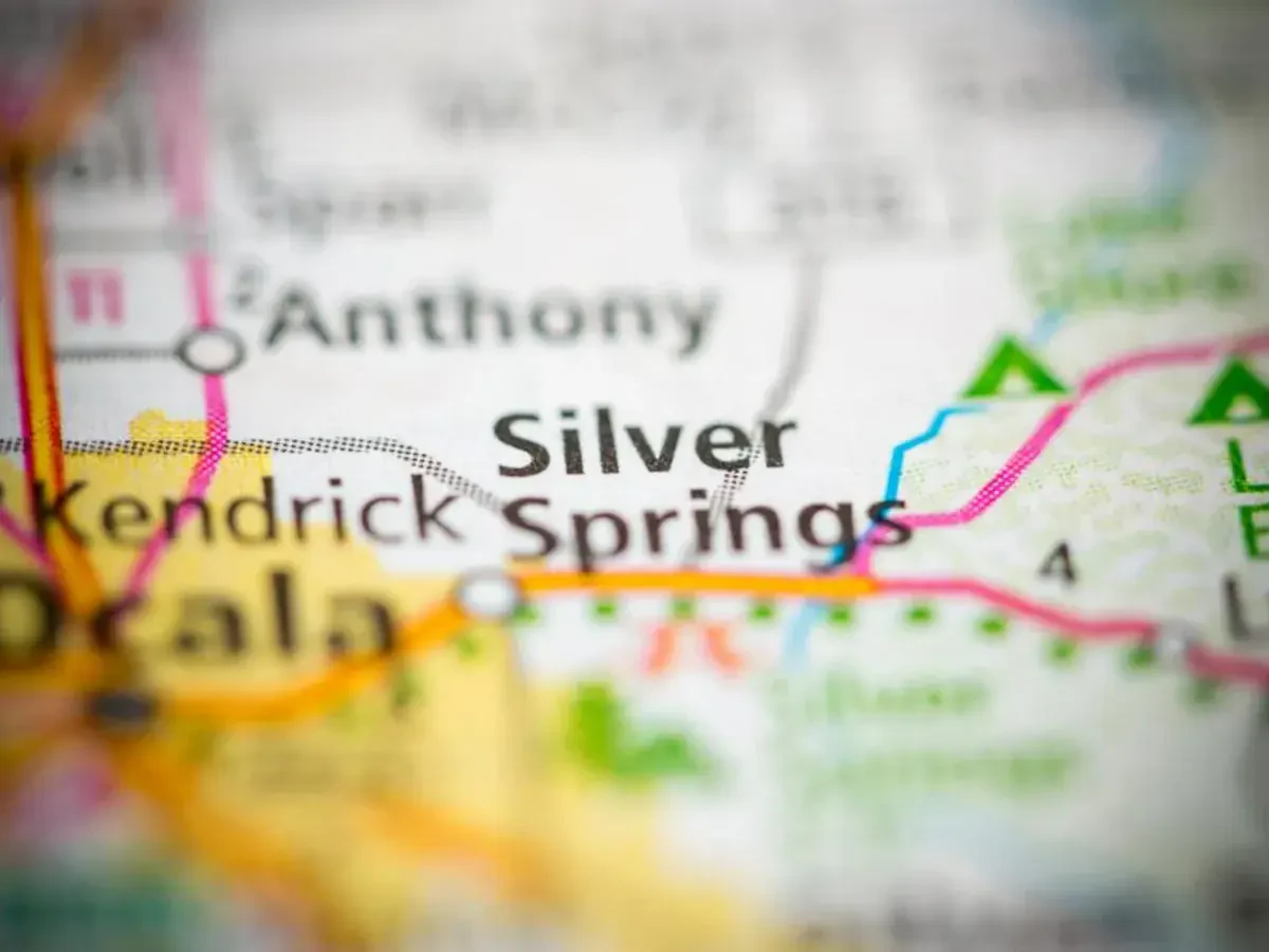 Best Silver Springs Movers Near Me – Premium Silver Springs, FL Moving Companies