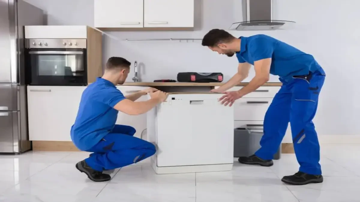 Best Smith County Movers Near Me Premium Moving Companies