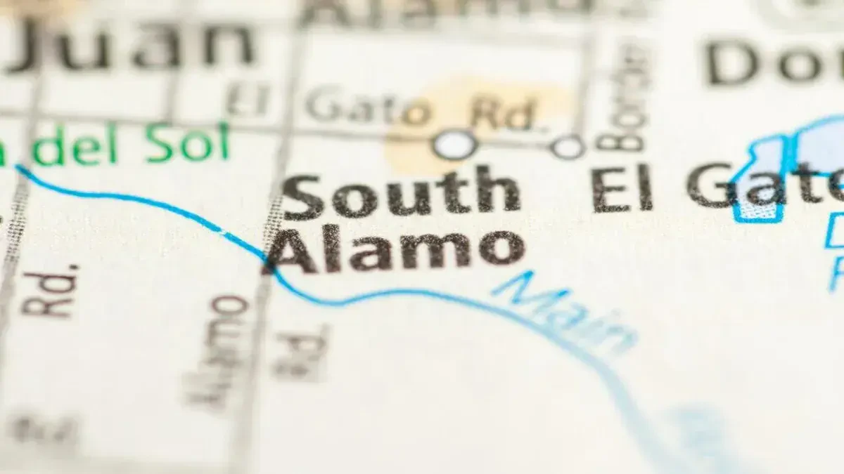 Best South Alamo Movers Near Me – Premium South Alamo, TX Moving Companies