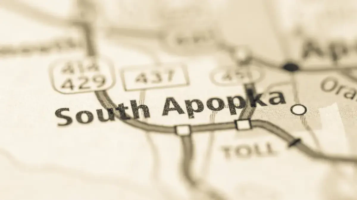 Best South Apopka Movers Near Me Premium Moving Companies