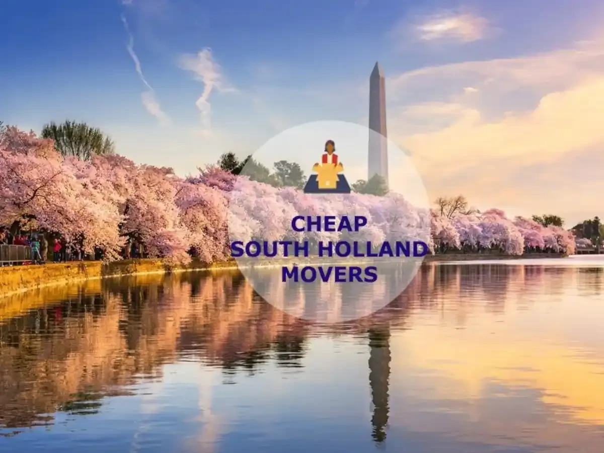 Best South Holland Movers Near Me – Premium South Holland, IL Moving Companies