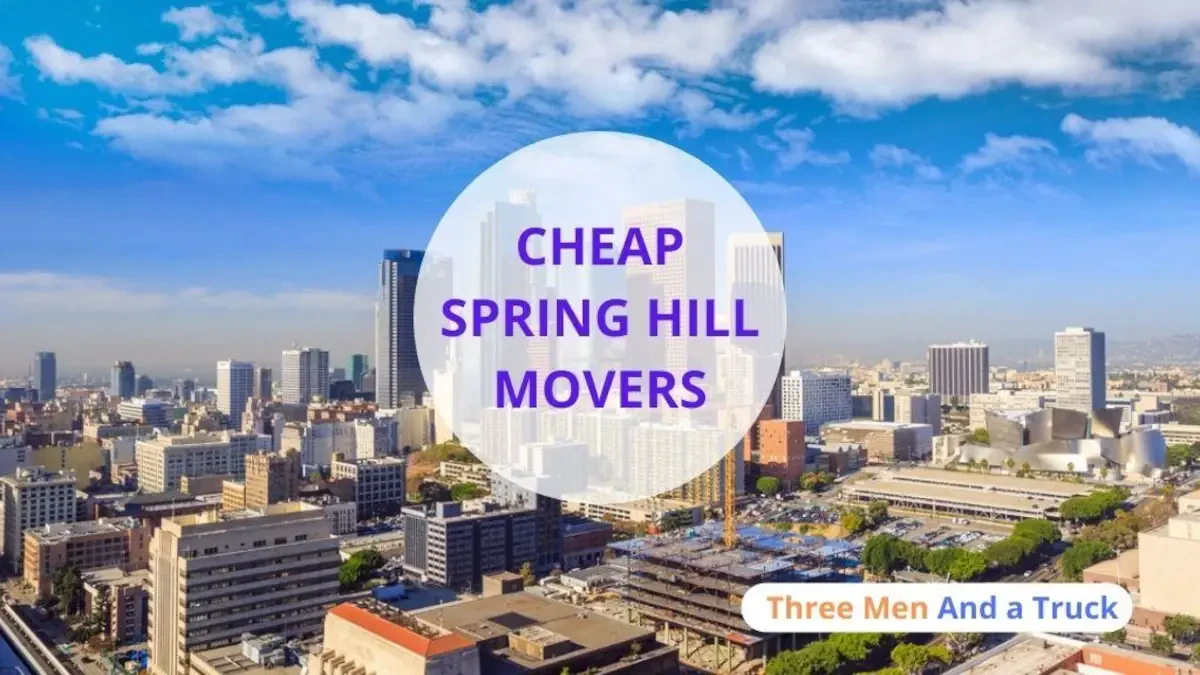 Best Spring Hill Movers Near Me – Premium Spring Hill, FL Moving Companies