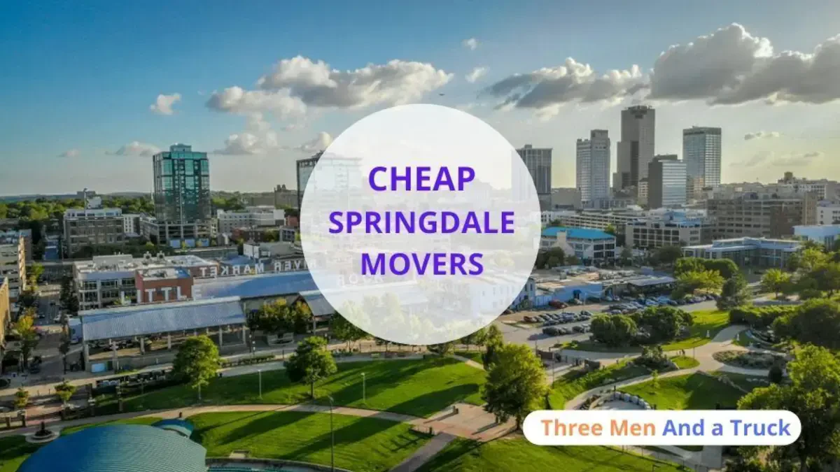 Best Springdale Movers Near Me Premium Moving Companies