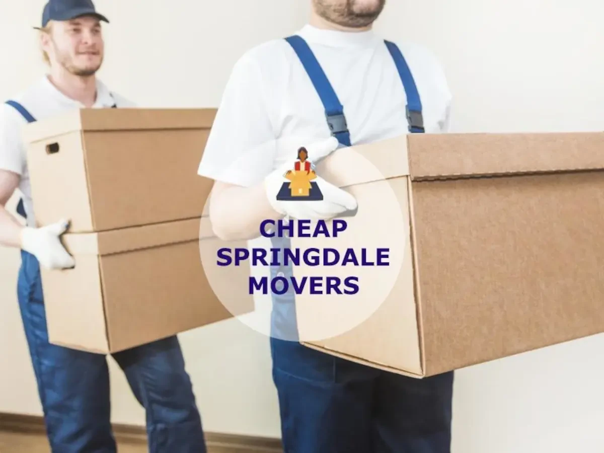Best Springdale Movers Near Me Premium Moving Companies