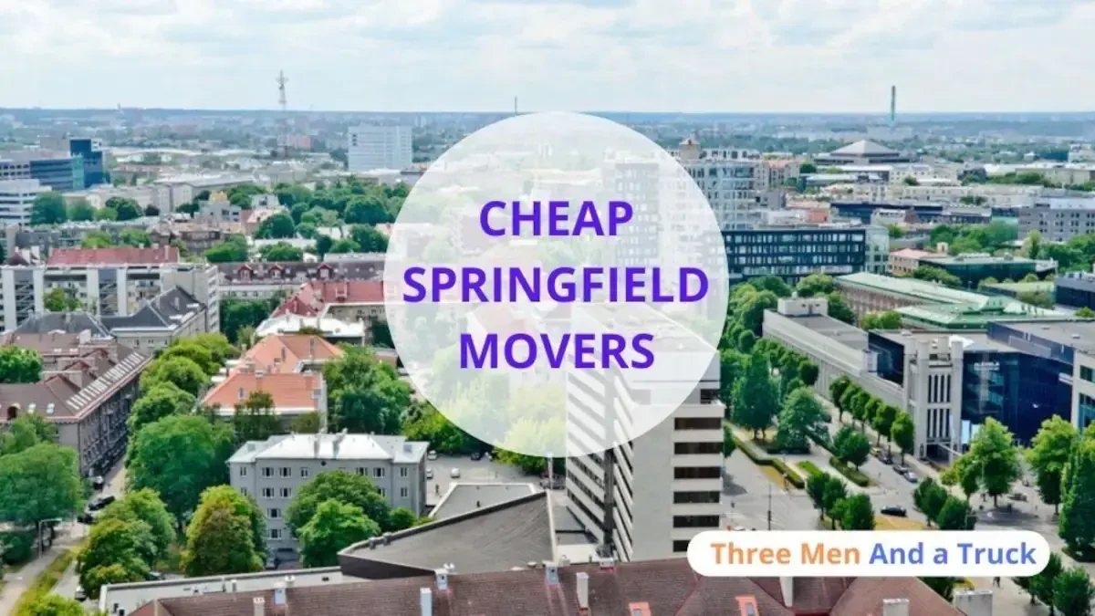 Best Springfield Movers Near Me Premium Moving Companies