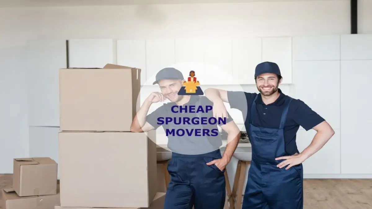 Best Spurgeon Movers Near Me – Premium Spurgeon, TN Moving Companies