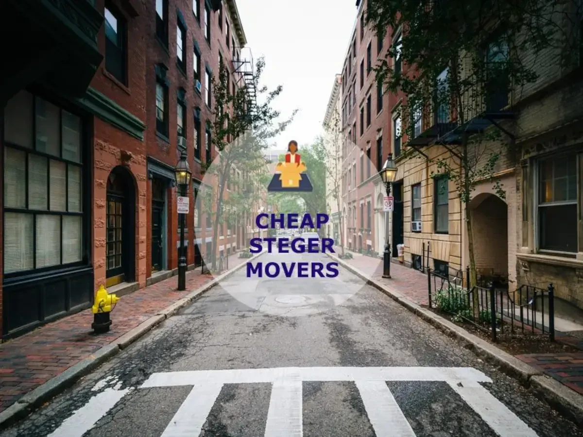 Best Steger Movers Near Me – Premium Steger, IL Moving Companies