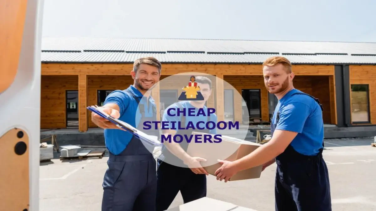 Best Steilacoom Movers Near Me – Premium Steilacoom, WA Moving Companies
