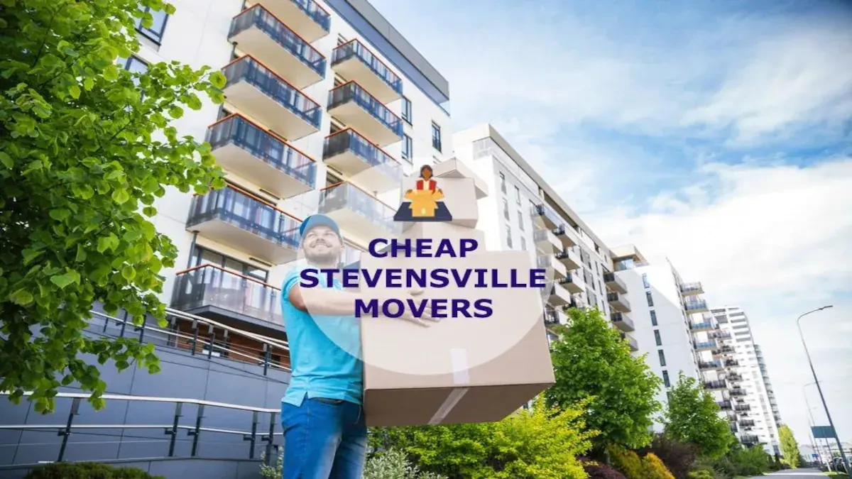 Best Stevensville Movers Near Me – Premium Stevensville, MD Moving Companies
