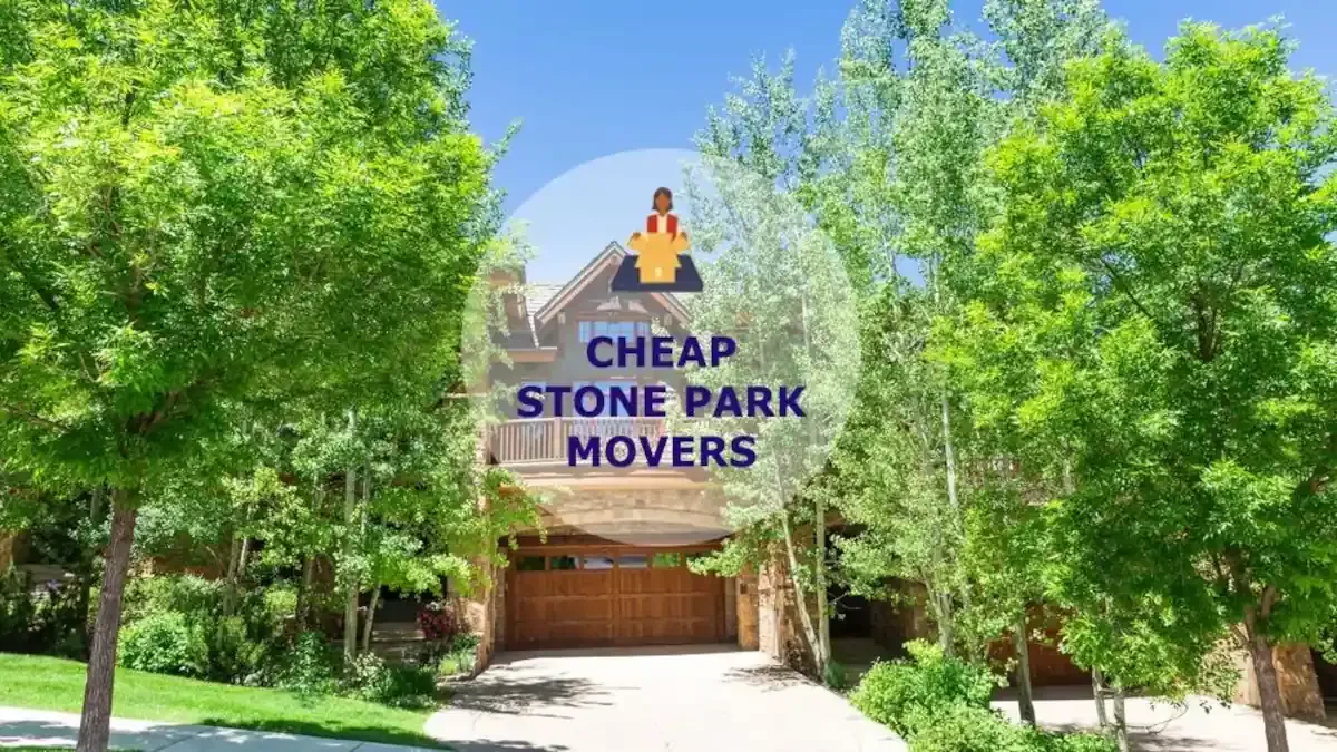Best Stone Park Movers Near Me – Premium Stone Park, IL Moving Companies