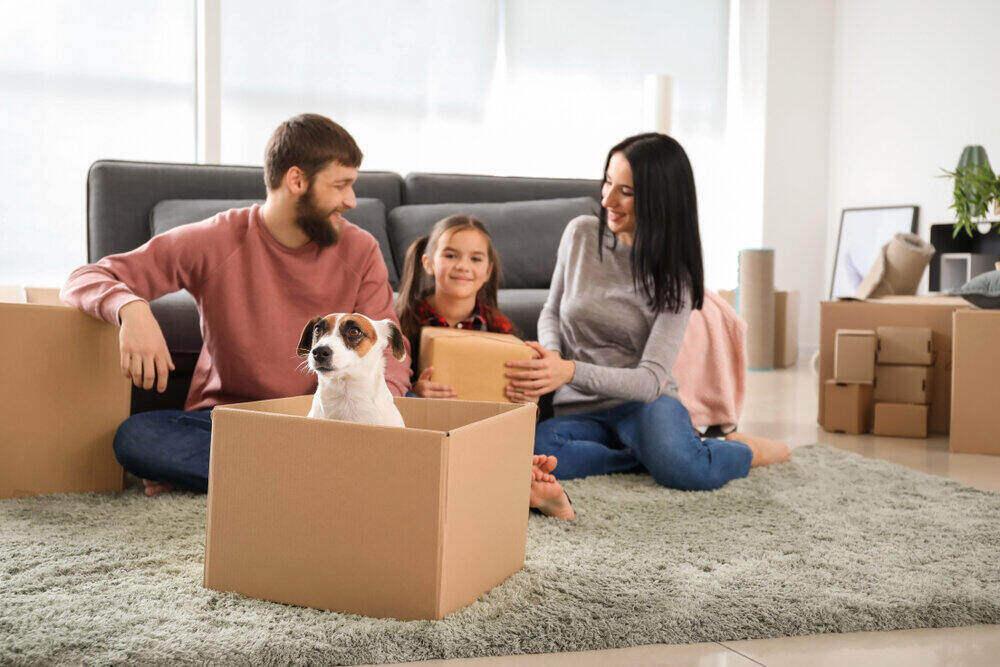 How to Plan A Pet Move Create a PetFriendly Arrival Experience in