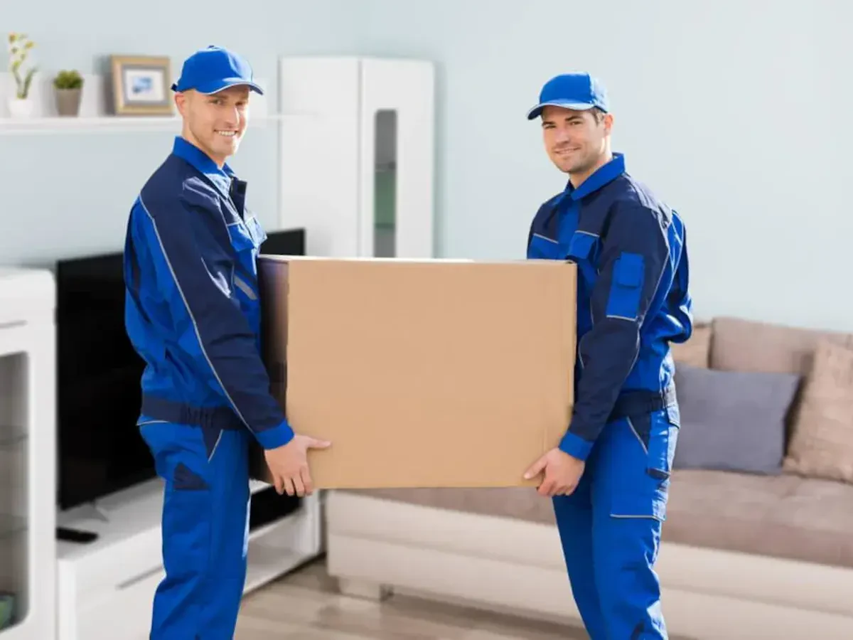 Summerville to Greenville Movers Near Me Moving Companies Cost