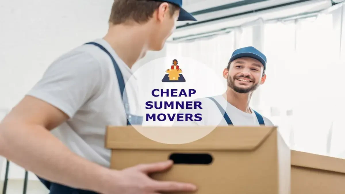 Best Sumner Movers Near Me – Premium Sumner, WA Moving Companies