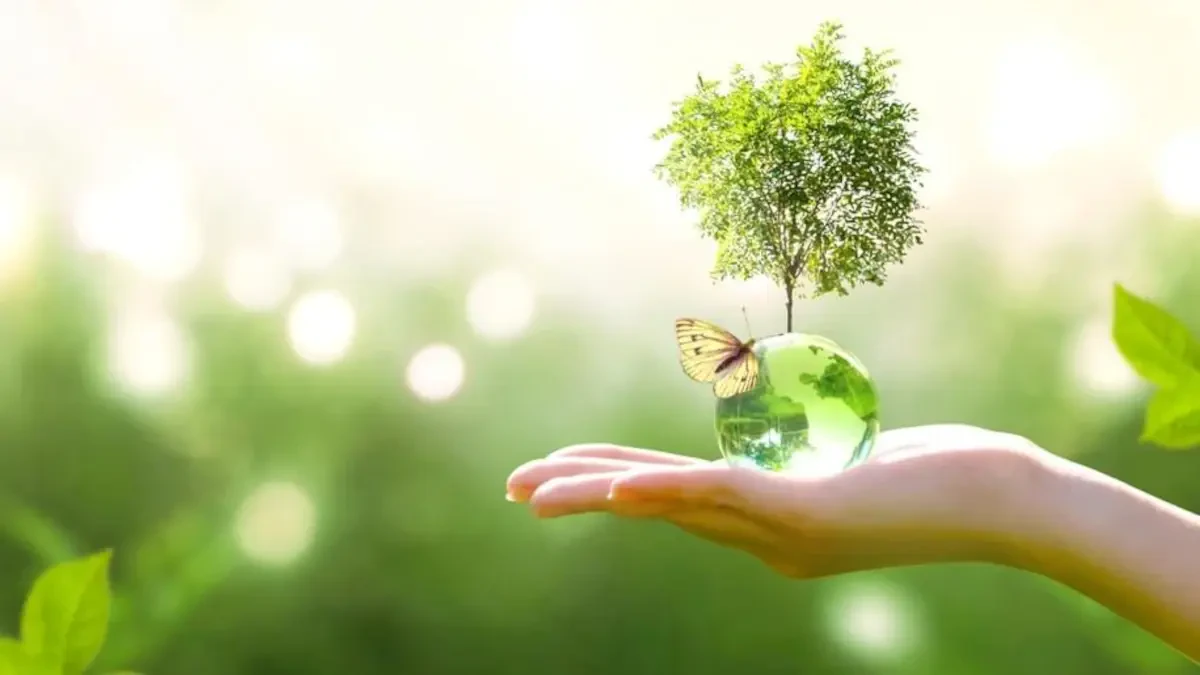 6 Sustainable Moving Tips