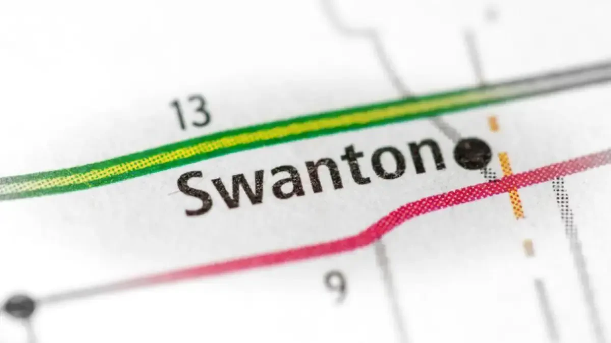 Best Swanton Movers Near Me – Premium Swanton, OH Moving Companies