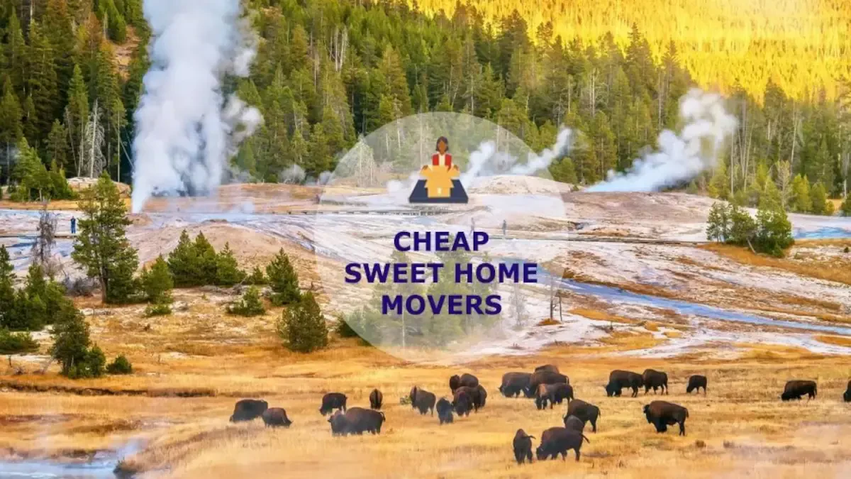 Best Sweet Home Movers Near Me – Premium Sweet Home, OR Moving Companies