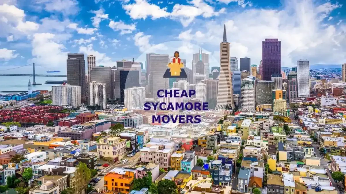 Best Sycamore Movers Near Me – Premium Sycamore, IL Moving Companies