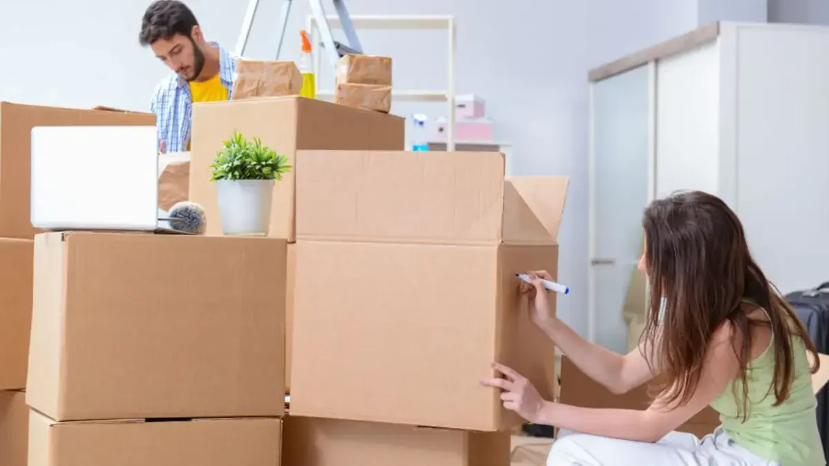 Tacoma to Olympia Movers Near Me – Tacoma to Olympia Moving Companies Cost