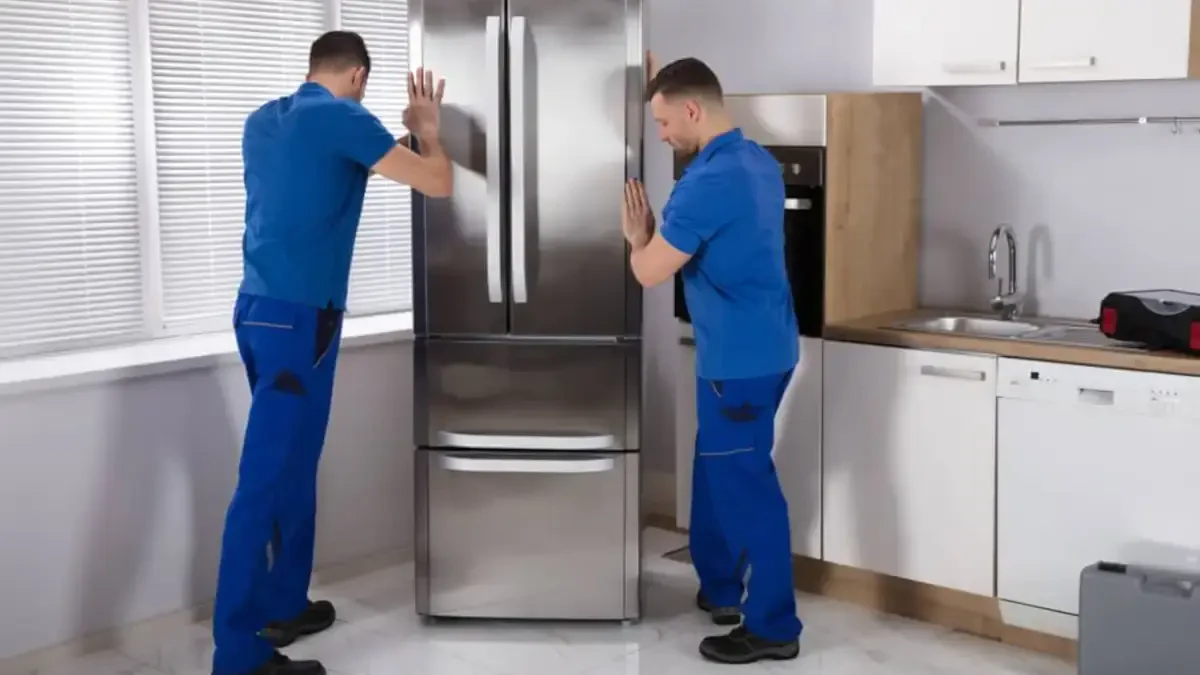 Best Taos County Movers Near Me – Premium Taos County, NM Moving Companies