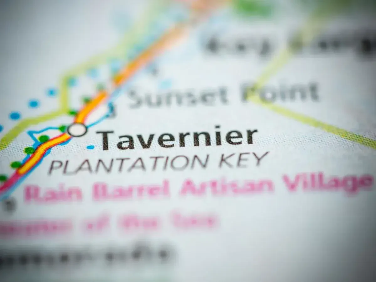 Best Tavernier Movers Near Me – Premium Tavernier, FL Moving Companies