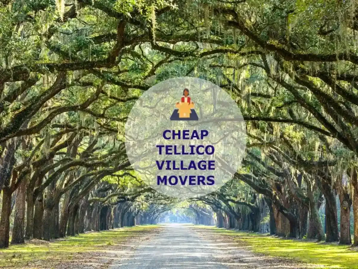Best Tellico Village Movers Near Me – Premium Tellico Village, TN Moving Companies