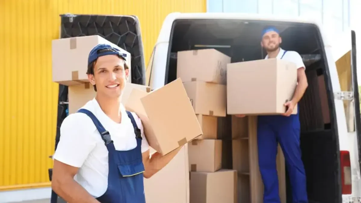 Best Temple Terrace Movers Near Me Premium Moving Companies