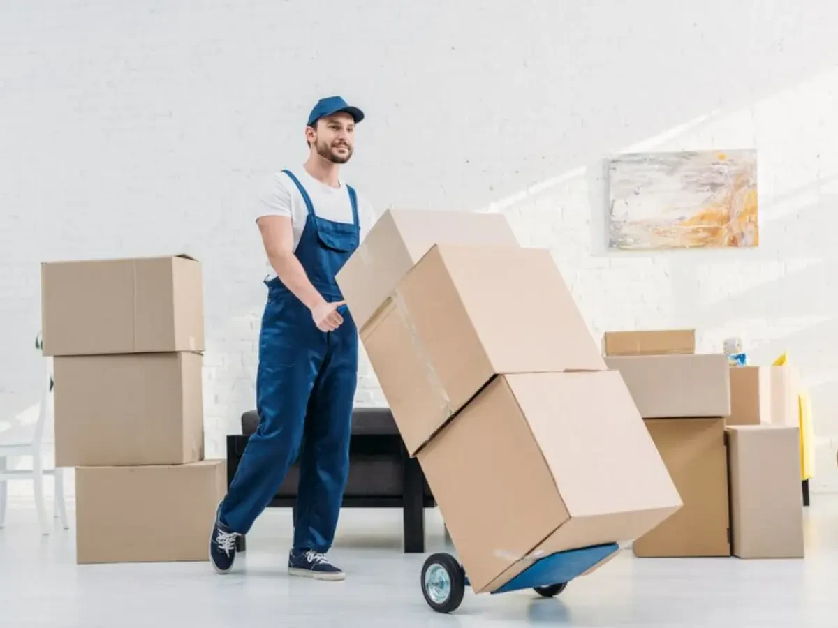 Best Terry County Movers Near Me – Premium Terry County, TX Moving Companies