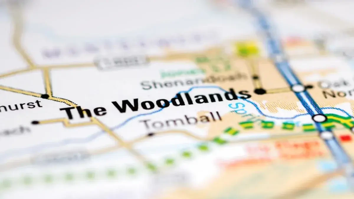 International Moving Company The Woodlands